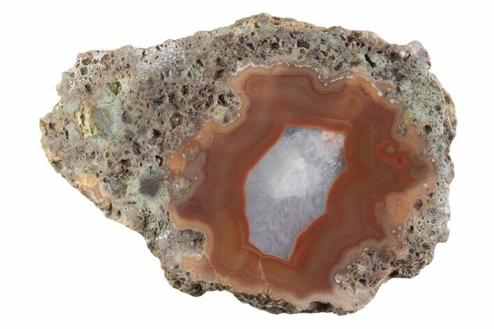 Polished Banded Agate Nodule Half - Bou Hamza, Morocco #373311